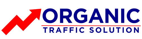 organic Traffic solution (500 x 137 px)